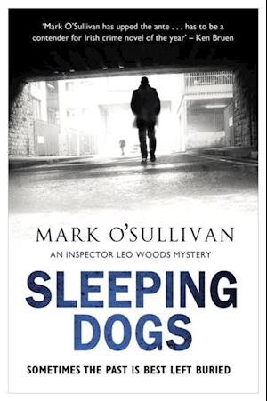 Sleeping Dogs