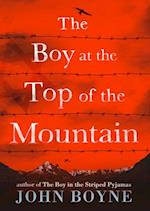 Boy at the Top of the Mountain