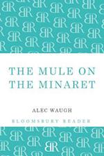 The Mule on the Minaret