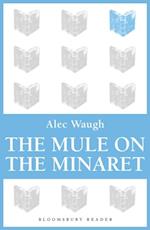 Mule on the Minaret