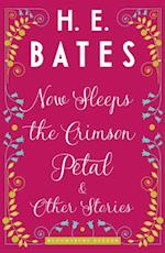 Now Sleeps the Crimson Petal and Other Stories