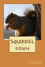 Squirrel Down