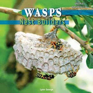 Wasps