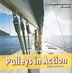 Pulleys in Action