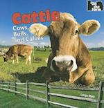 Cattle