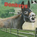 Donkeys