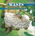 Wasps