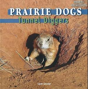 Prairie Dogs