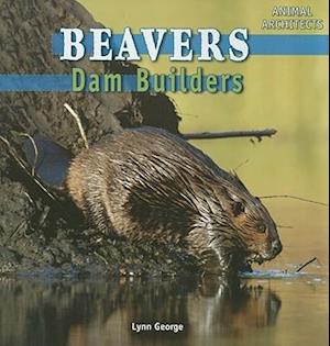 Beavers