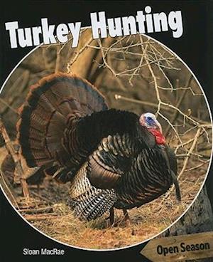 Turkey Hunting