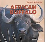 African Buffalo