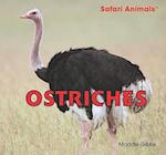 Ostriches