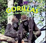 Gorillas