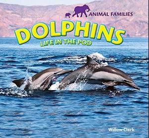 Dolphins