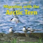 Migrating with the Arctic Tern