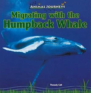 Migrating with the Humpback Whale