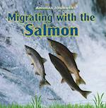 Migrating with the Salmon