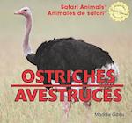 Ostriches/Avestruces