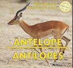 Antelope/Antilopes