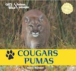 Cougars/Pumas