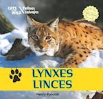 Lynxes/Linces