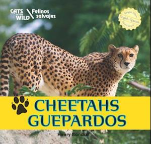 Cheetahs/Guepardos