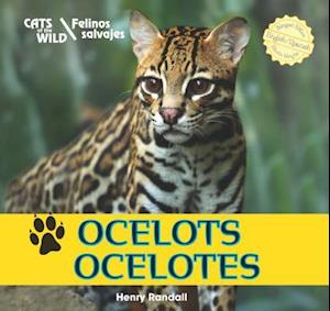 Ocelots/Ocelotes