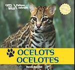 Ocelots/Ocelotes