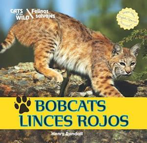 Bobcats/Linces Rojos