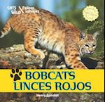 Bobcats/Linces Rojos