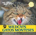 Wildcats/Gatos Monteses