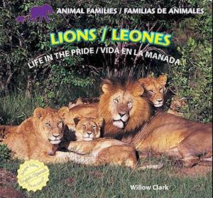 Lions/Leones