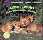 Lions/Leones