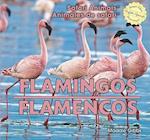 Flamingos/Flamencos