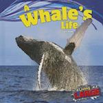 A Whale's Life