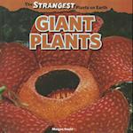 Giant Plants