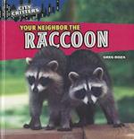 Your Neighbor the Raccoon