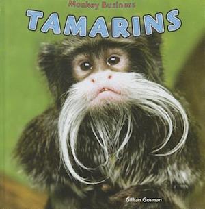 Tamarins