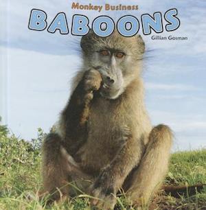 Baboons