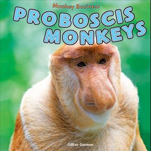 Proboscis Monkeys