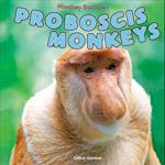 Proboscis Monkeys