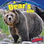 A Bears Life