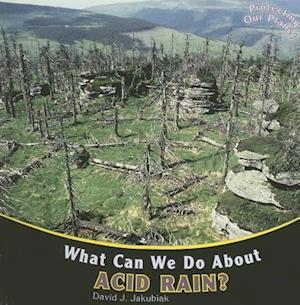 What Can We Do about Acid Rain?