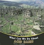 What Can We Do about Acid Rain?