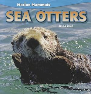 Sea Otters