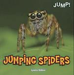 Jumping Spiders