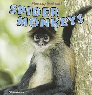 Spider Monkeys