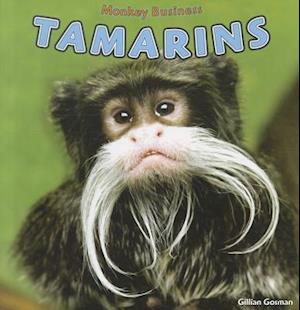 Tamarins