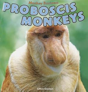 Proboscis Monkeys