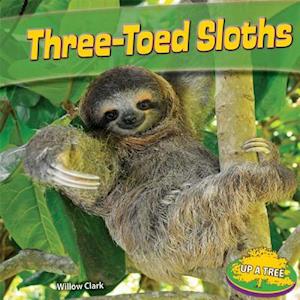 Three-Toed Sloths